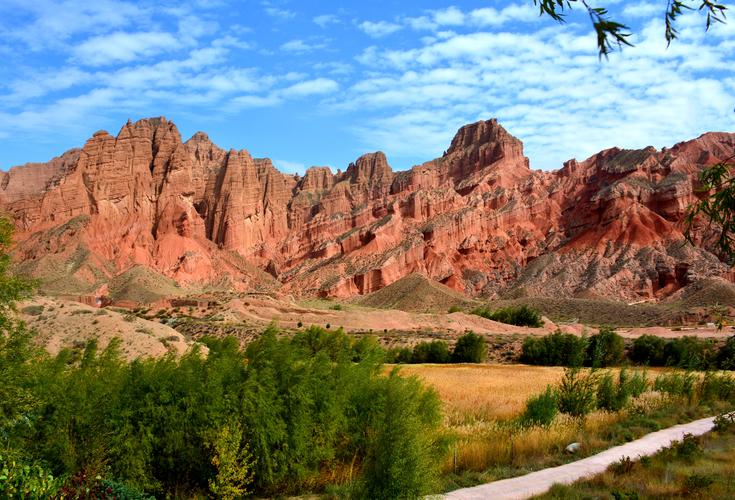 2010年,女记者马金瑜辞掉工作嫁给青海农民,如今怎么样了?