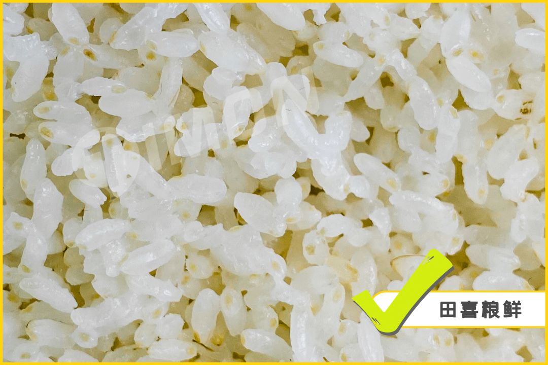 米小芽,秋田满满,原态禾香,稻田村,田喜粮鲜更贴近胚芽米该有的颜色