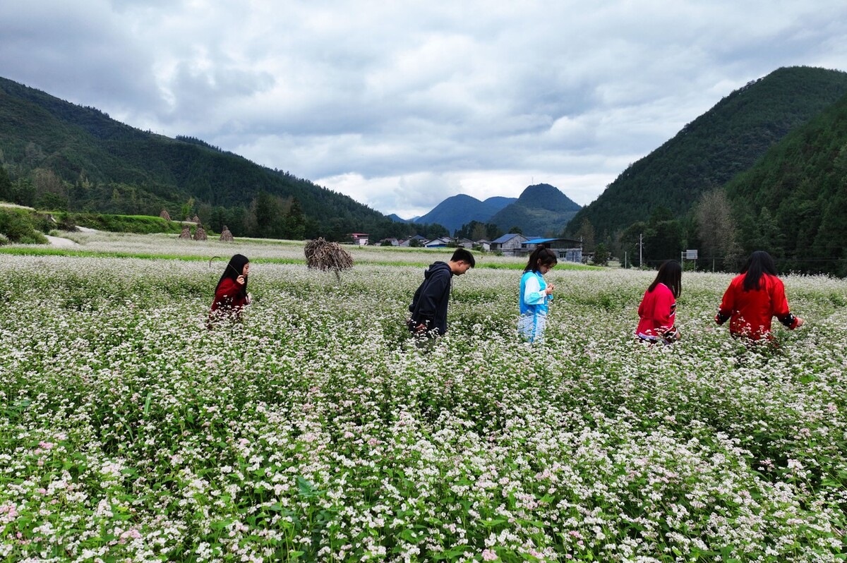 酉阳后坪乡图片