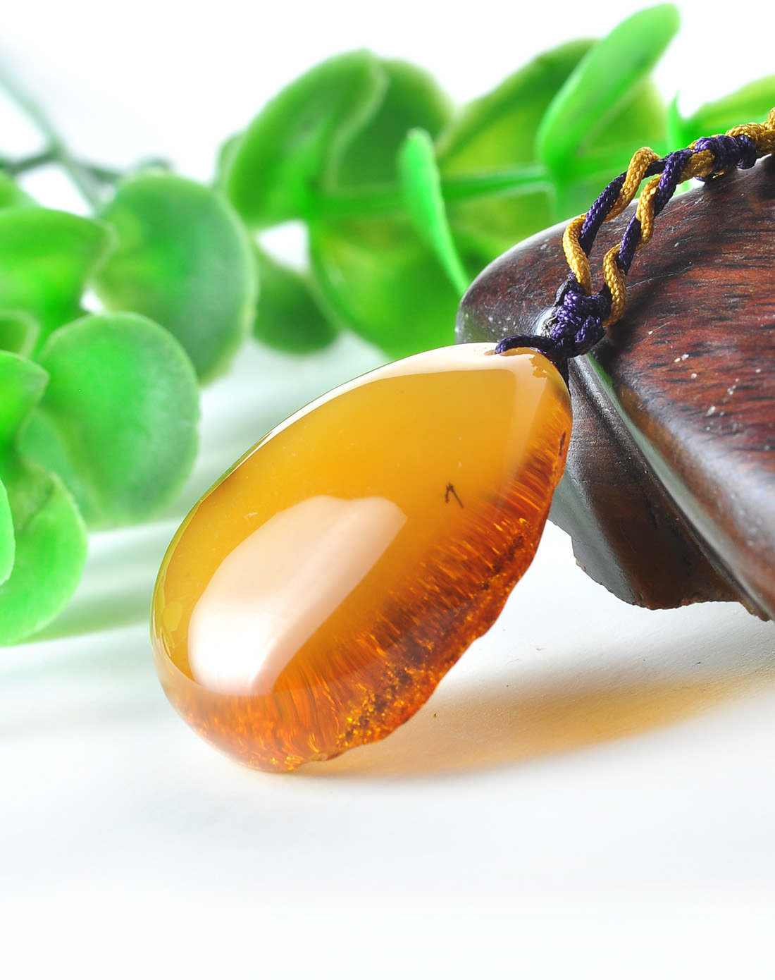 矿珀:古生物学中的珍宝和煤炭地质的奇异产物