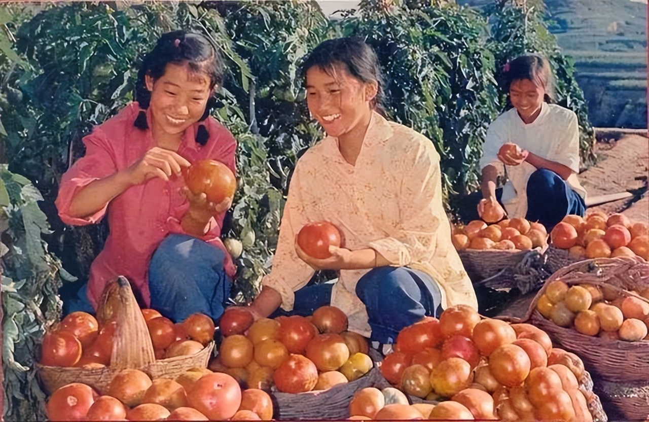 农业学大寨:70年代老照片,见证那个激情澎湃的时代