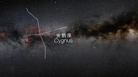 天鹅座星系发来异常信号,解密内容令科学家警觉!