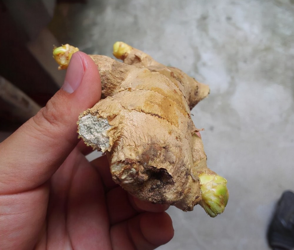 生姜要不要去皮?中医告诉你答案