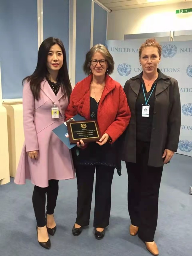 沈静律师:奋力登"山",一览中国涉外法律服务无限风光