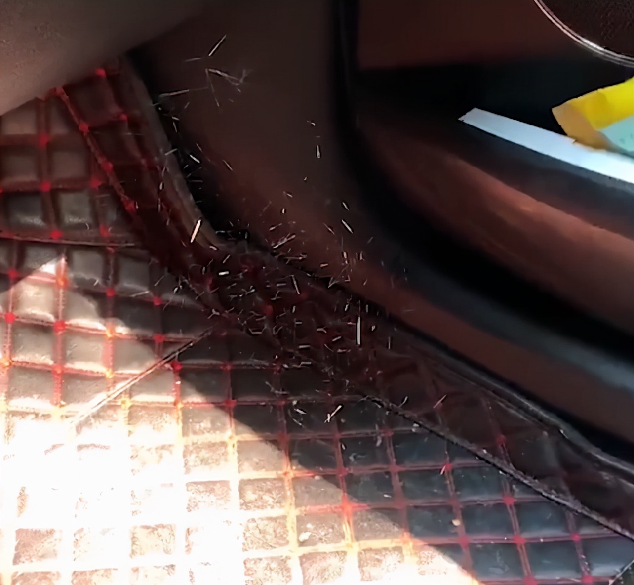 笑喷!江西男子突然发现副驾上结满蜘蛛网,自嘲单身狗越想越心酸