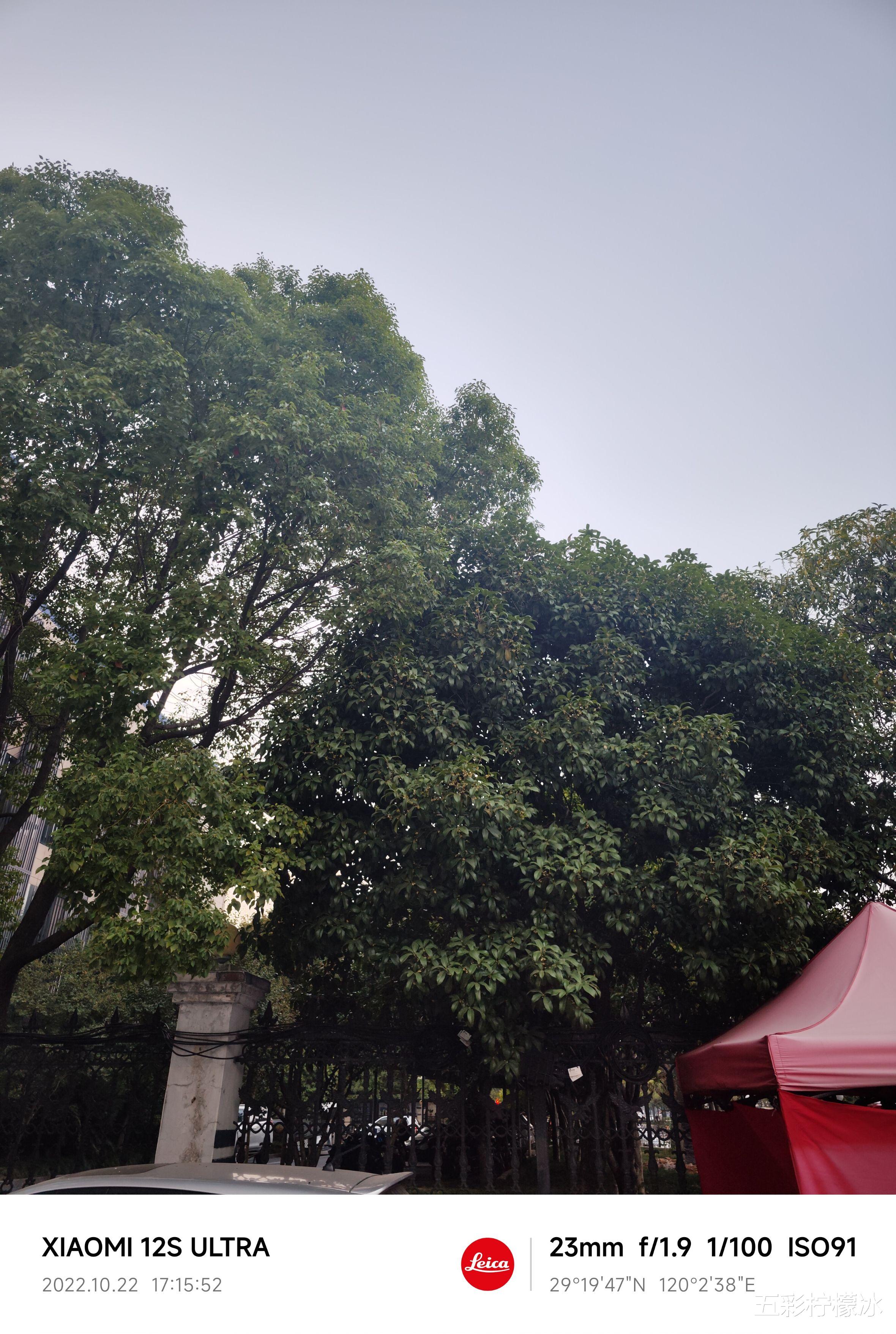 「水桶旗舰」小米10pro vs 小米12s ultra