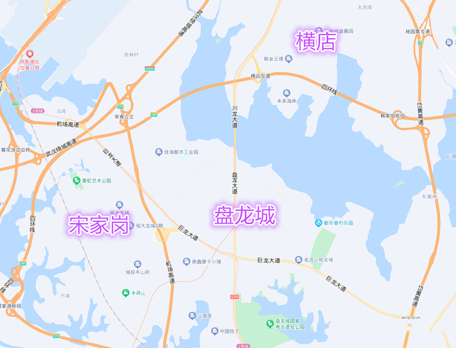 黄陂横店地图图片