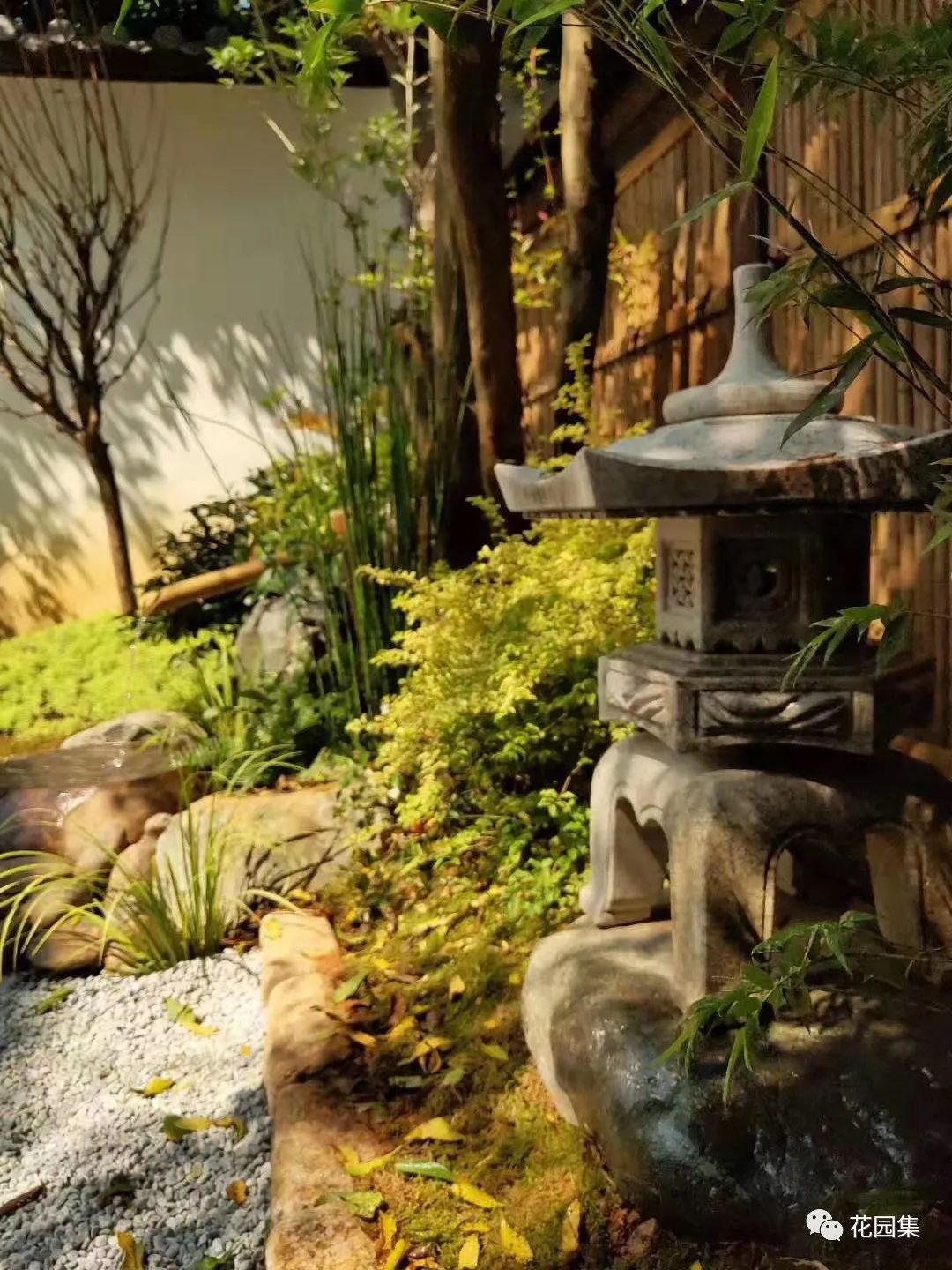 最小的日式庭院|坪庭,方寸间也能感受侘寂之美