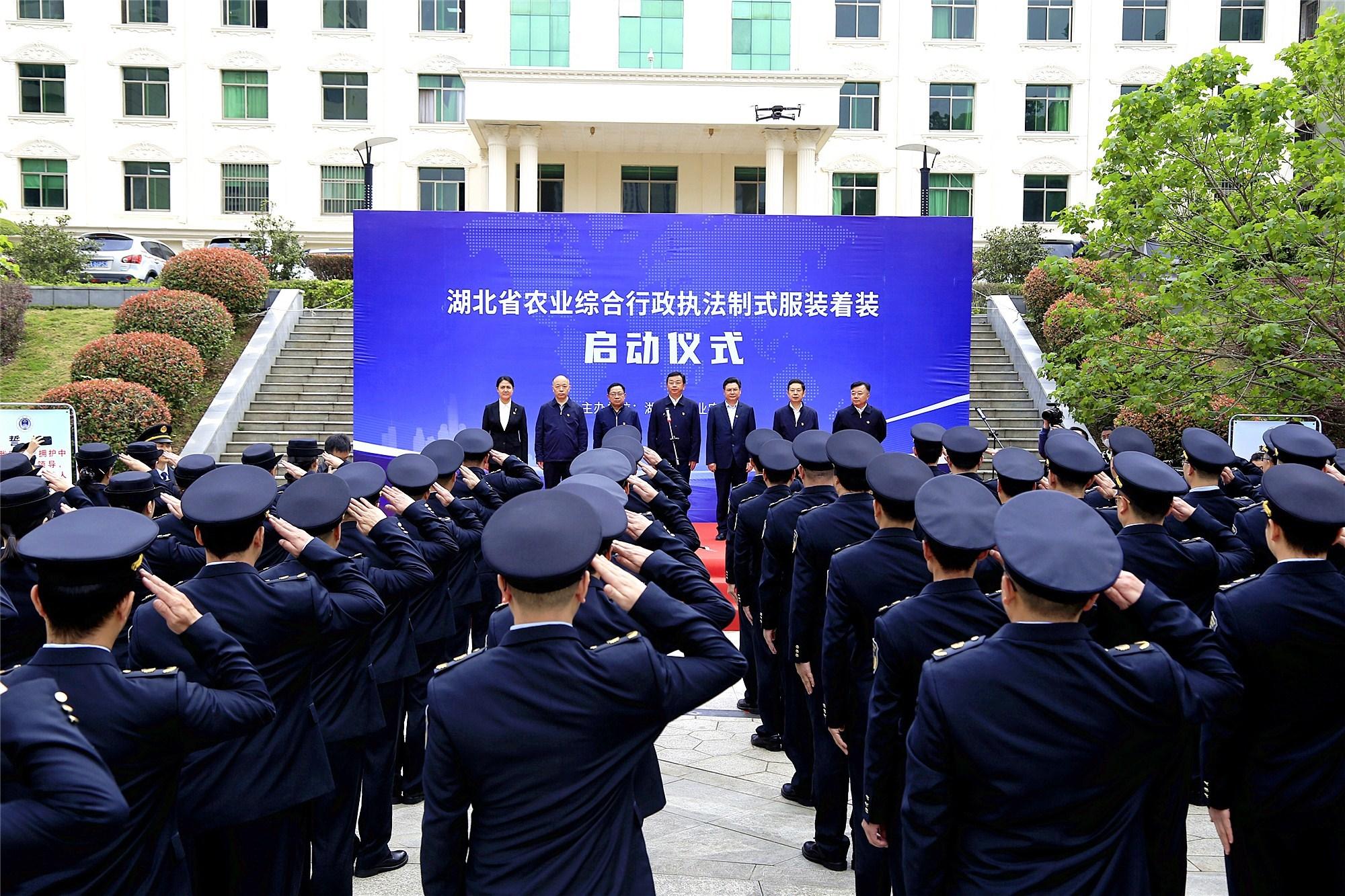 管子大队图片