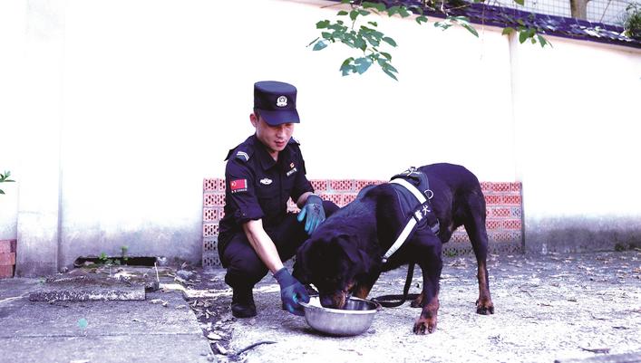 再见了战友!长沙县首批警犬退役