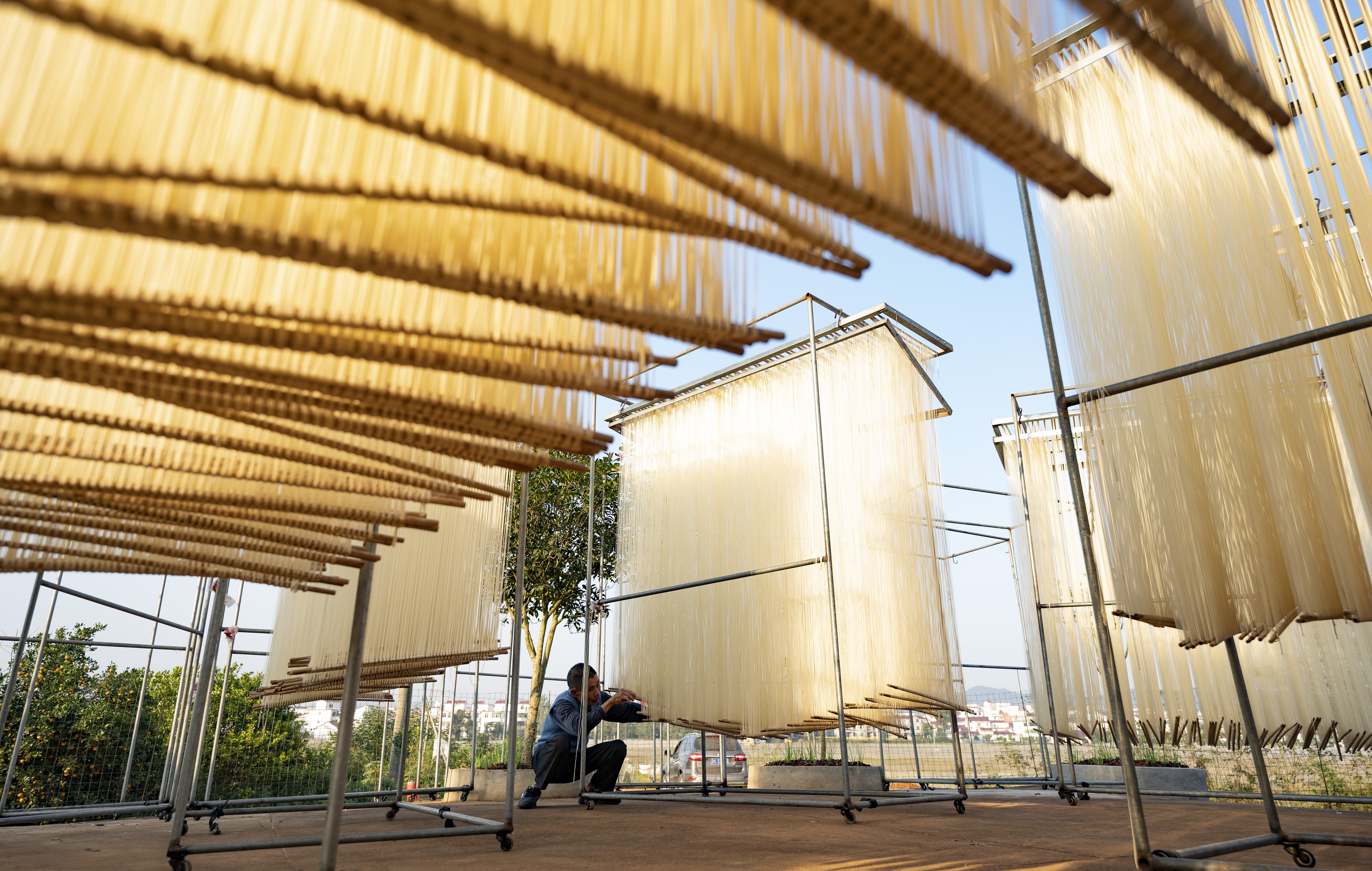 江西新余:"油面村"里油面香(2)