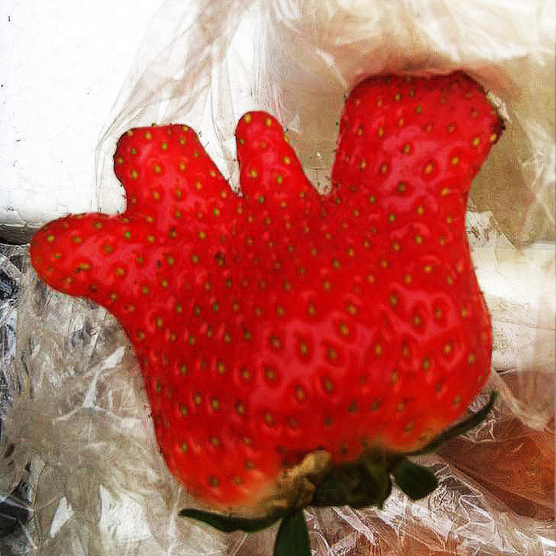 畸形草莓到底能不能吃?真的和激素有关吗?大家来围观真相