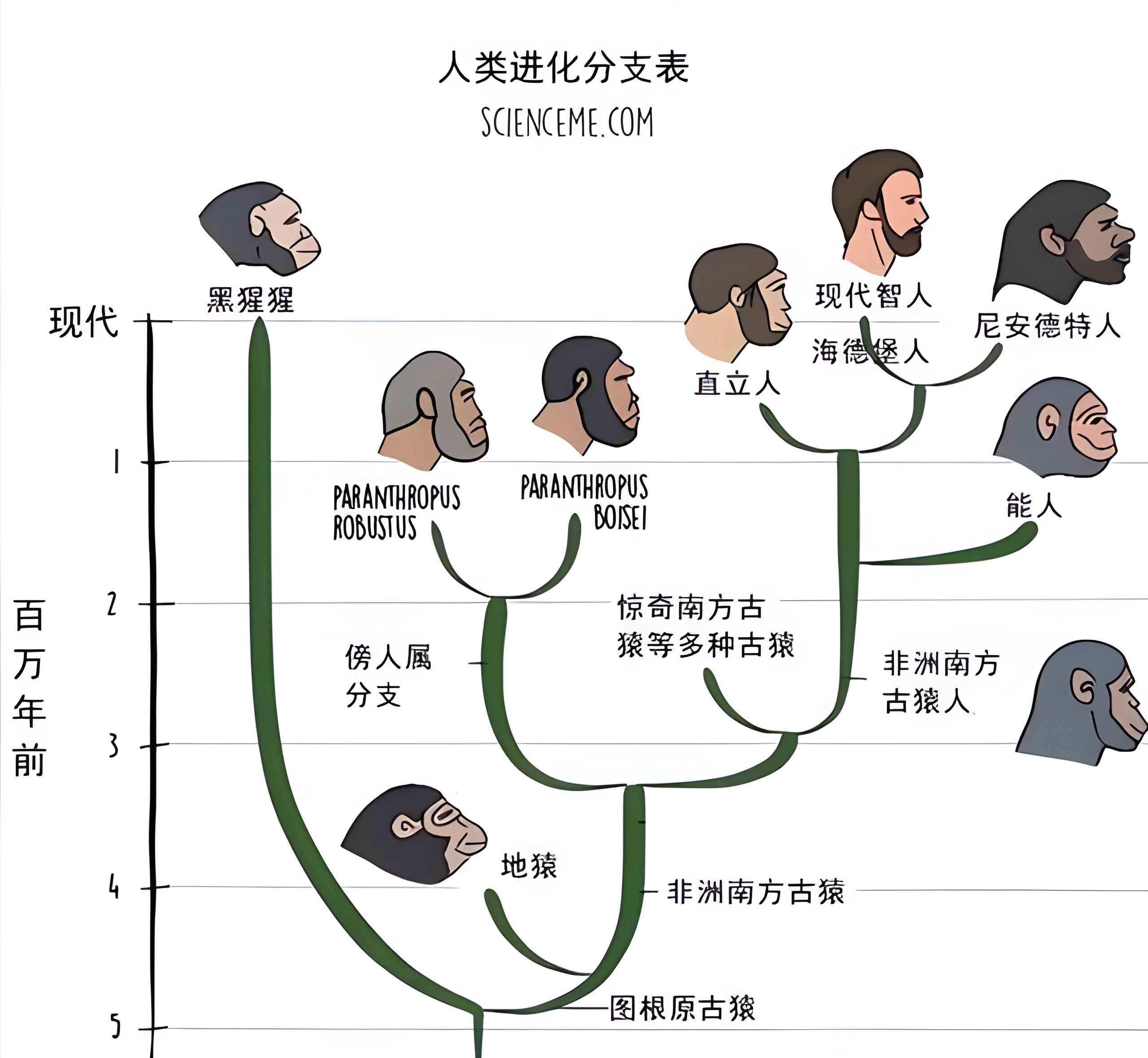 四大人种分布图图片