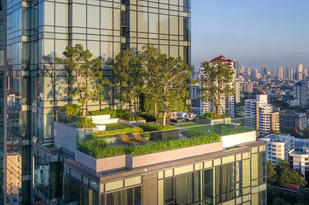 花园设计:屋顶花园设计攻略!还有精美意向图分享