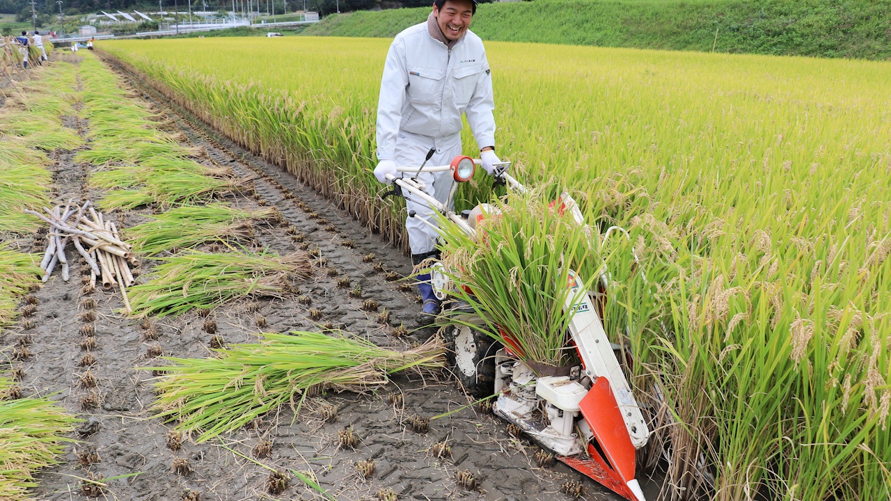 日本农业现代化政策的尝试,在当时产生了什么影响?