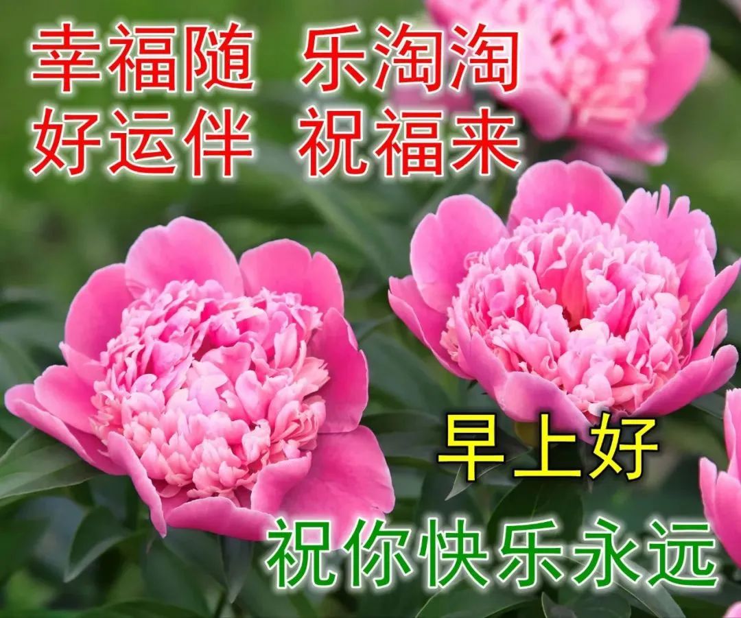 最漂亮早上好表情包圖片,微信群發祝福朋友早上好表情帶字圖片