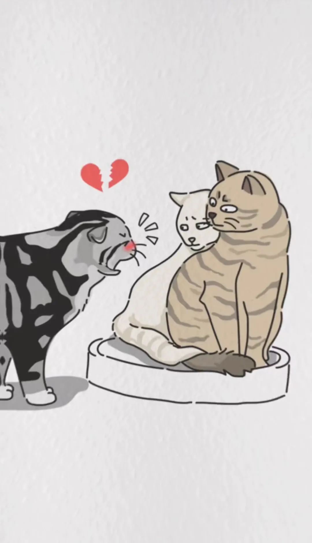 猫咪的爱情之三角恋,猫:我好气啊!