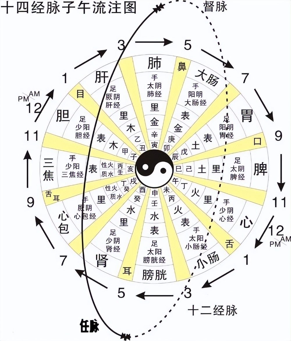 子午流注是中医学中的经络学说之一