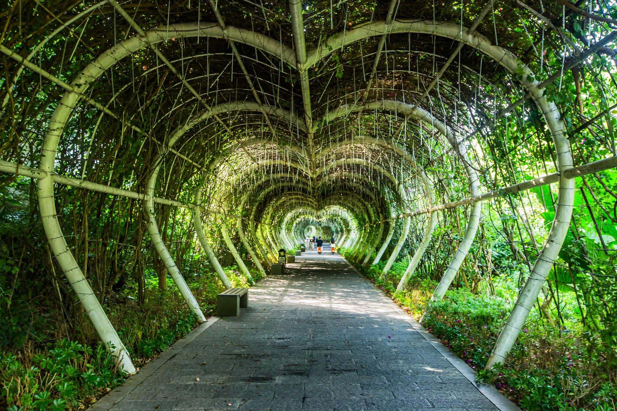 贵州兴义有一处贵州醇景区,温馨浪漫,被誉为"兴义人的后花园"