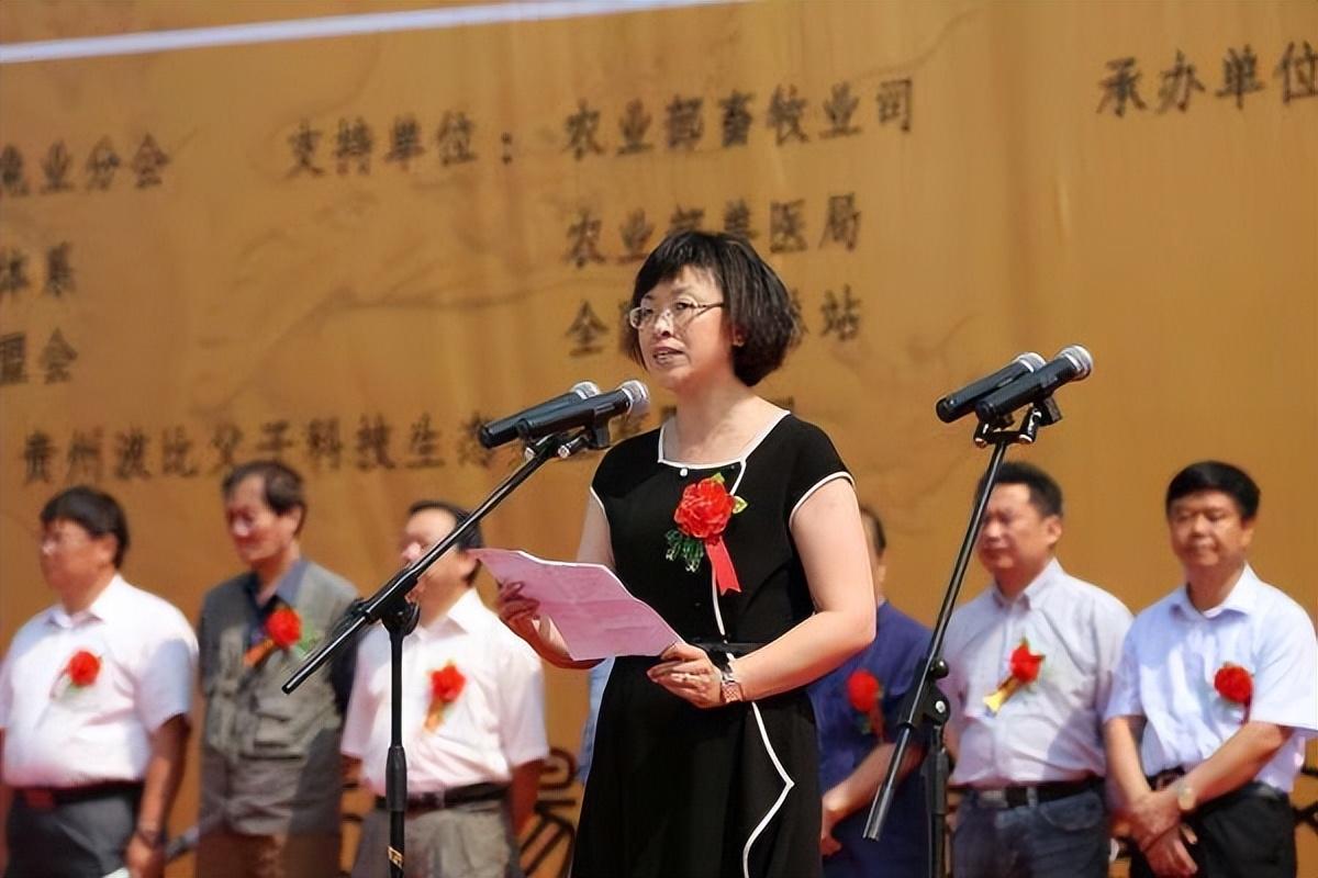 美女巨贪杨晓波三年敛财1430万为升官与数十名上下级有染