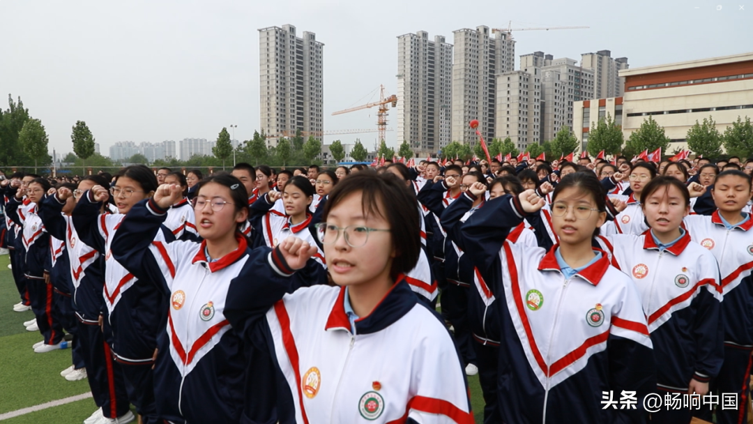 菏泽牡丹区实验中学图片