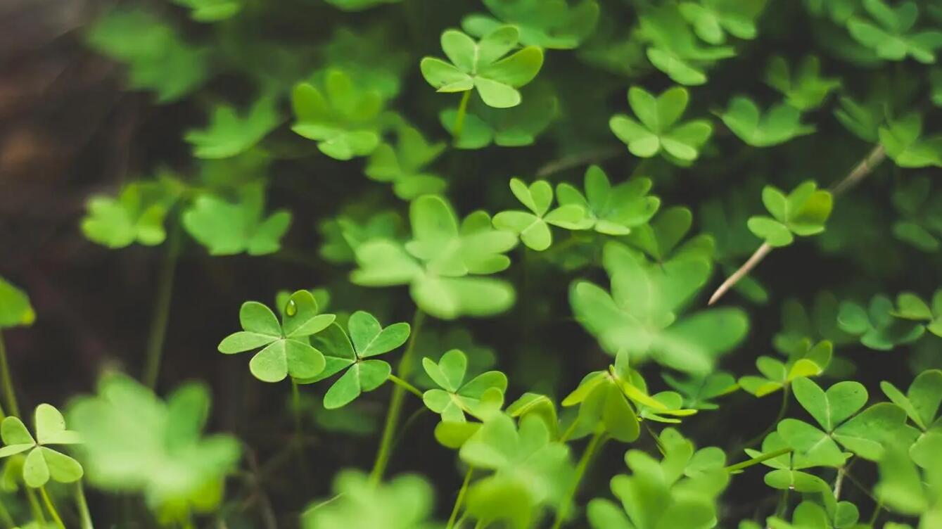 双鱼座2023年下半年指南,双方之间缺乏深度沟通,连接并不深厚