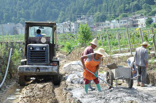 農民私留種子罰款10萬?為什麼留種犯法?揭秘