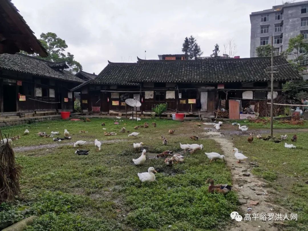 隆回罗洪镇"邹氏舆地世家祖居"修缮一期完工!