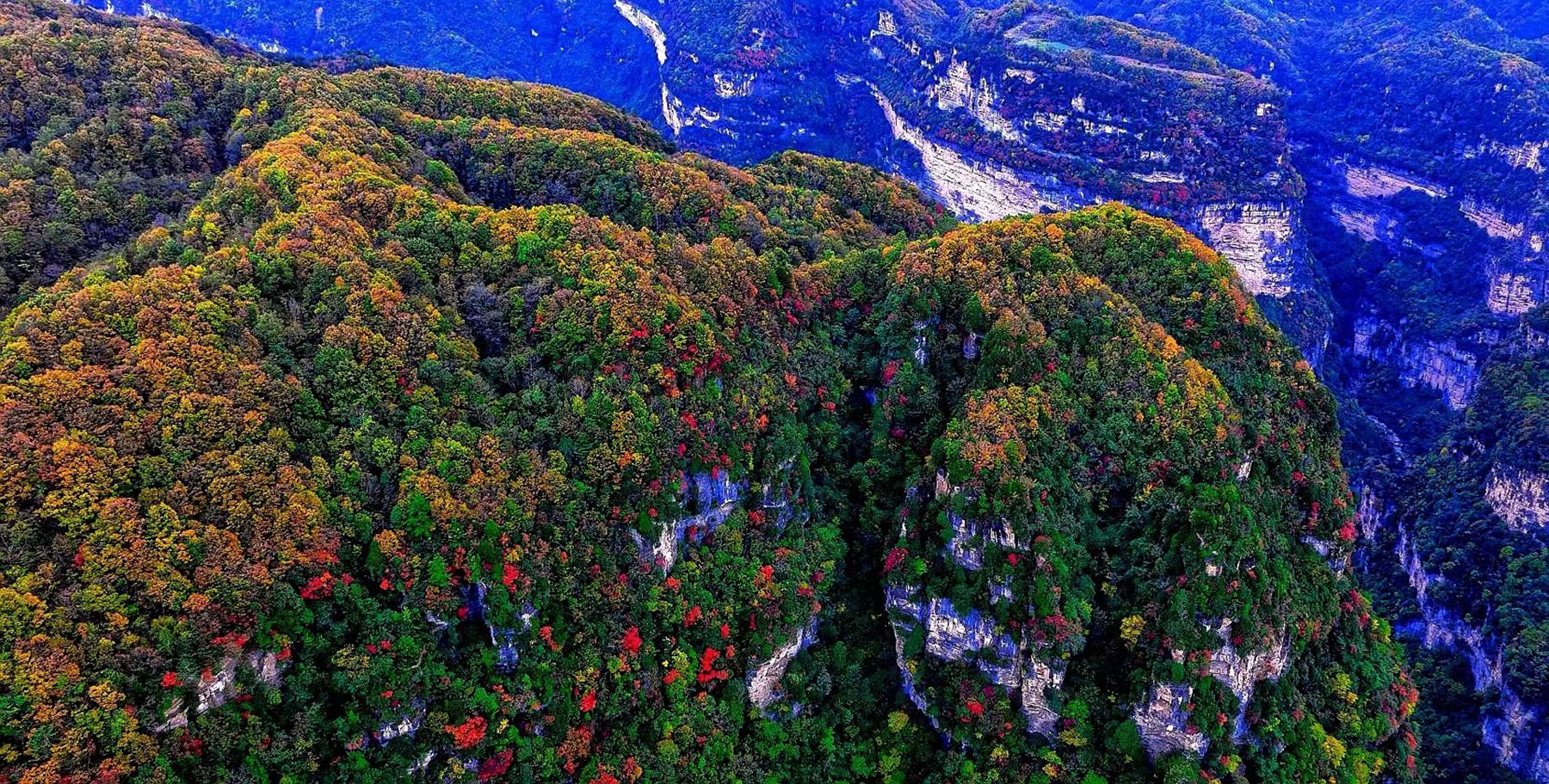 高清大图:广元摄影师航拍旺苍盐河秋天,层林尽染,美得像画!