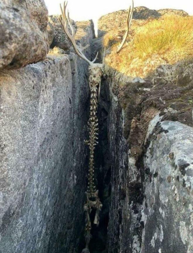 26张让人感到不适的图片,有哪几张让你感到不安?