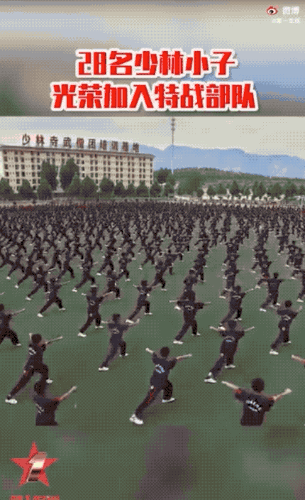 热点|少林小子加入特战部队，现实上演的“武侠剧”够硬核！