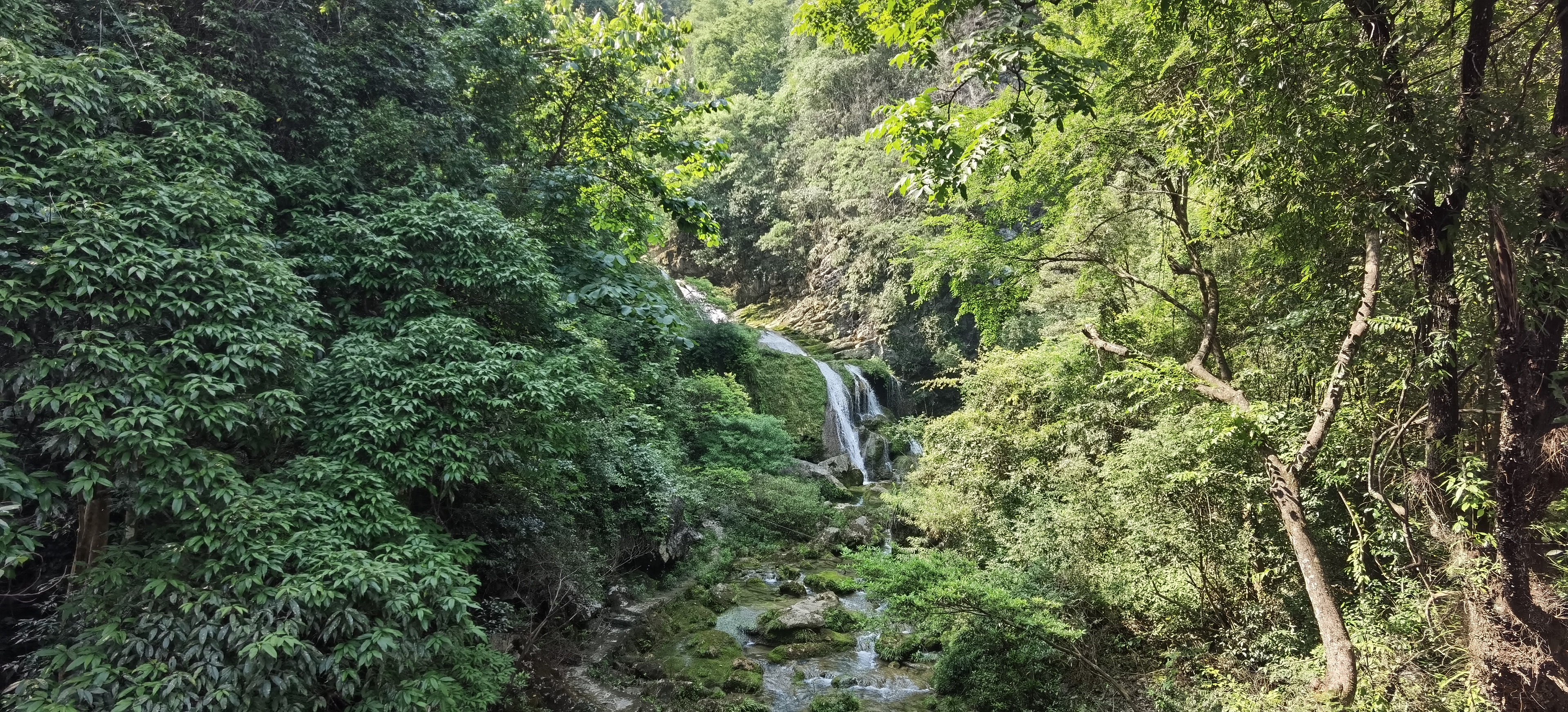 荔波茂兰露营基地图片