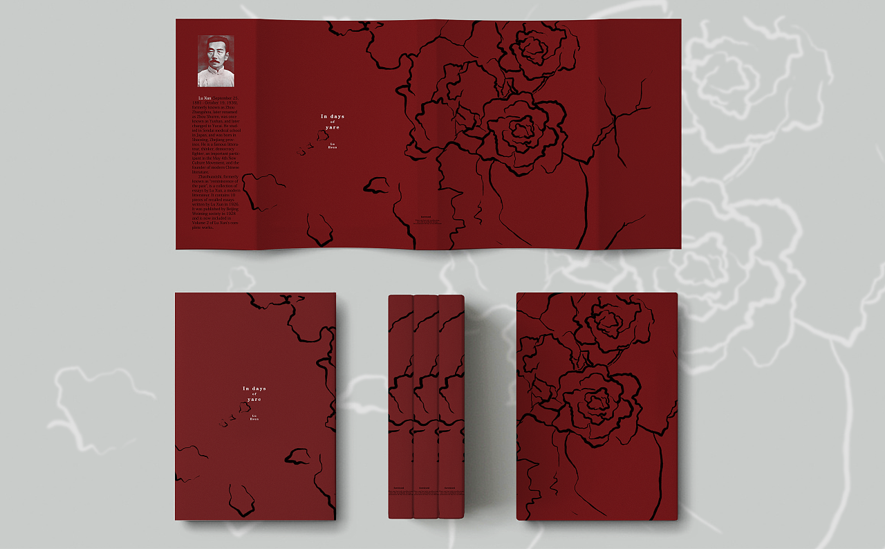 "用真挚的笔调描绘了那些平凡而又感人的故事"——《朝花夕拾》