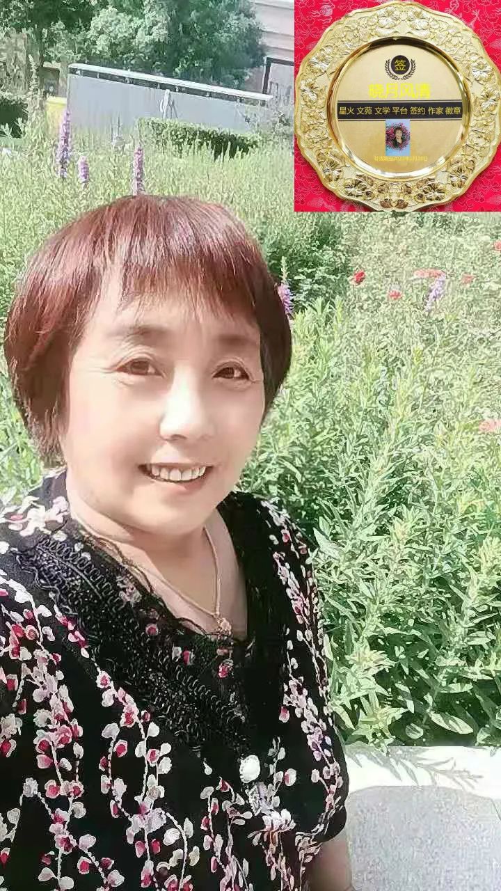 签约作家:晓月风清《我的思念》现代诗