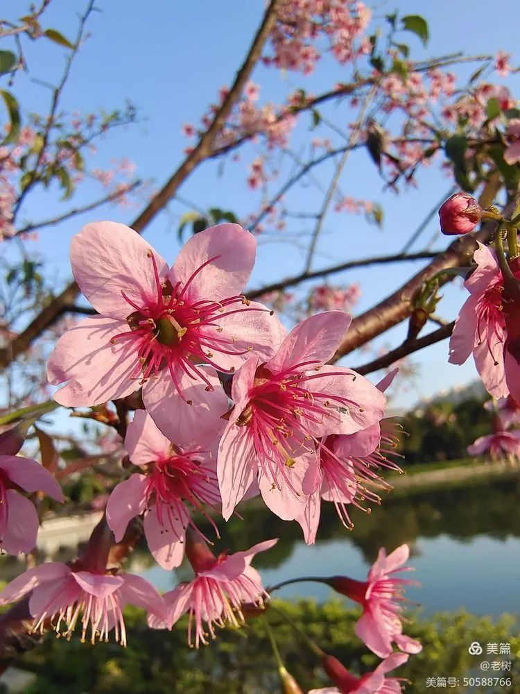 1969年厦门大学数学系毕业,退休中学高级教师,漳浦县政协文史研究员.