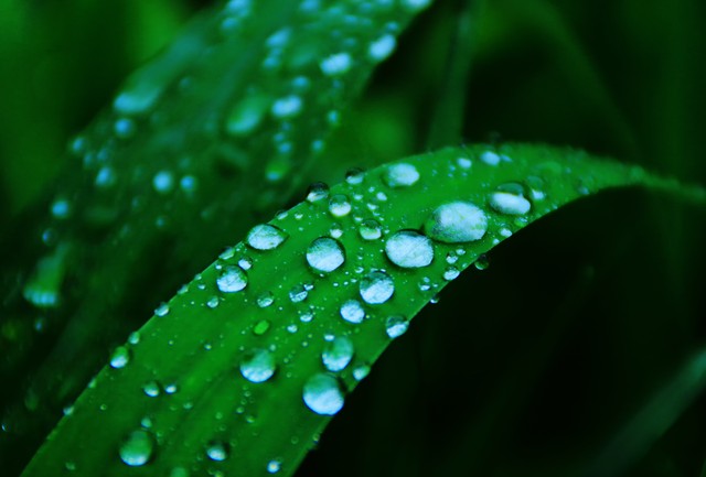 高清雨景图片大全图片