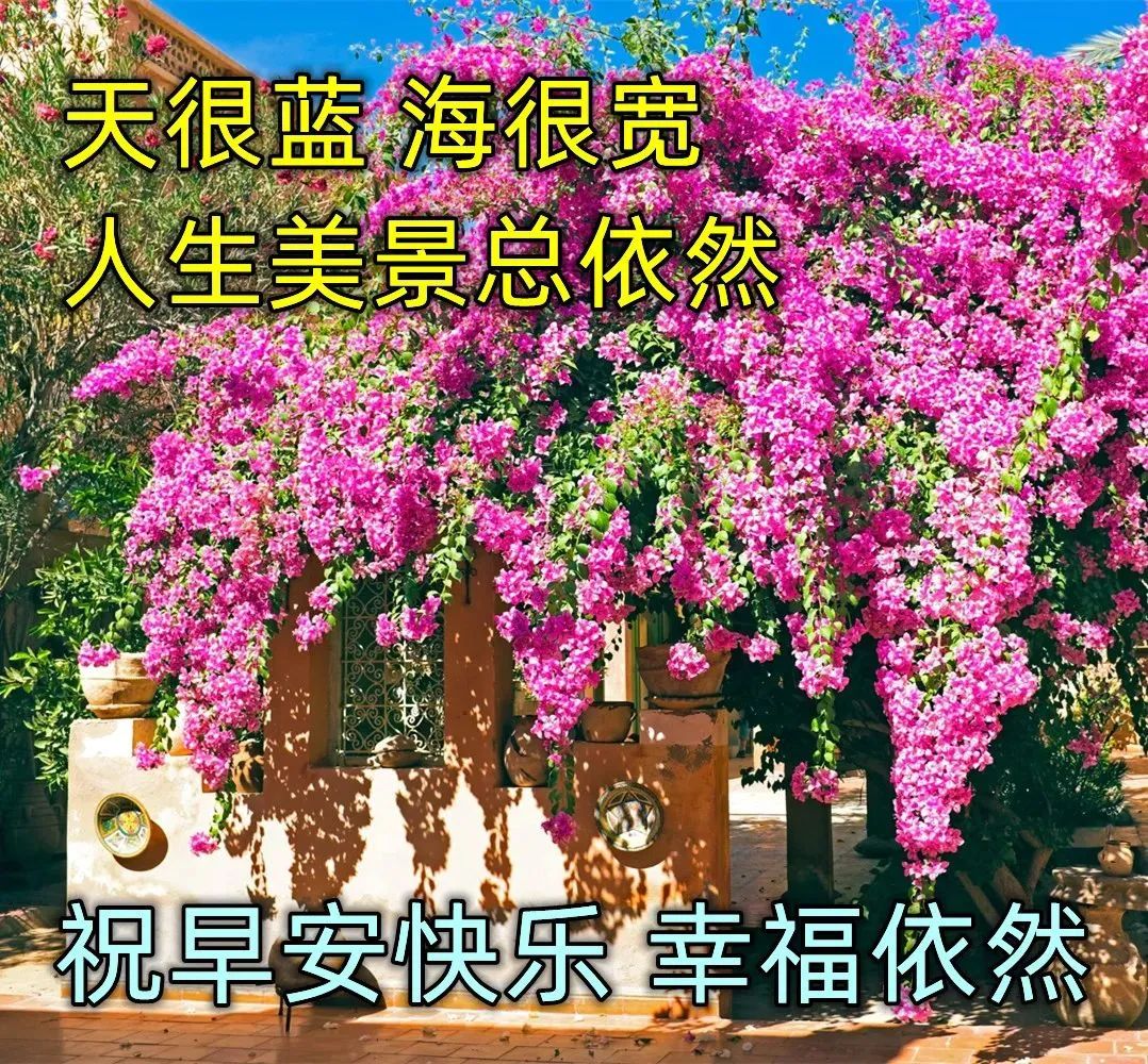 致朋友早安的图片带字图片