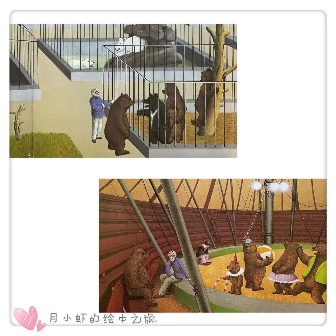 「月小虾绘本之旅」- 0016|「森林大熊」