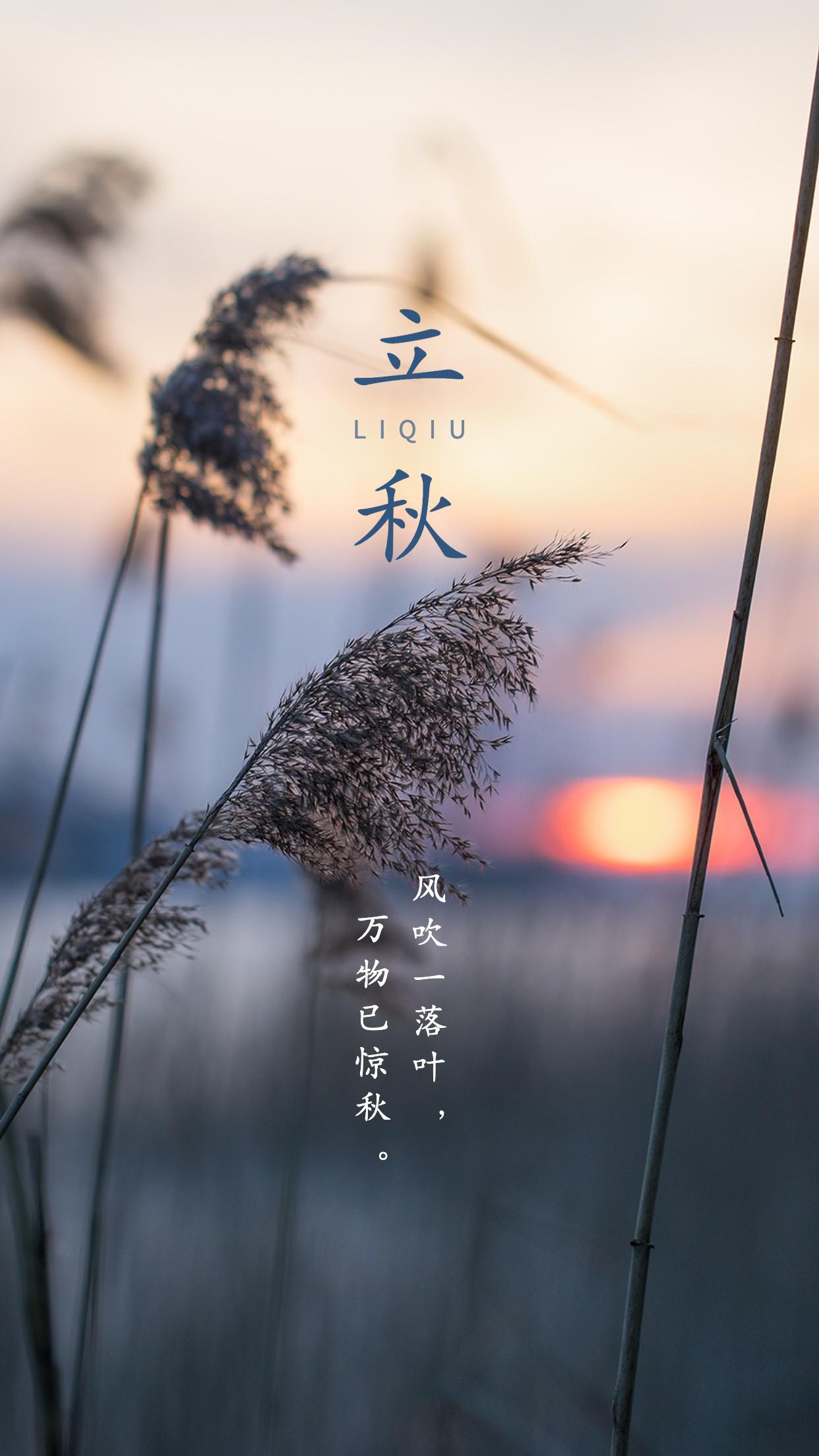 立秋|立秋朋友圈文案,10张高质量配图