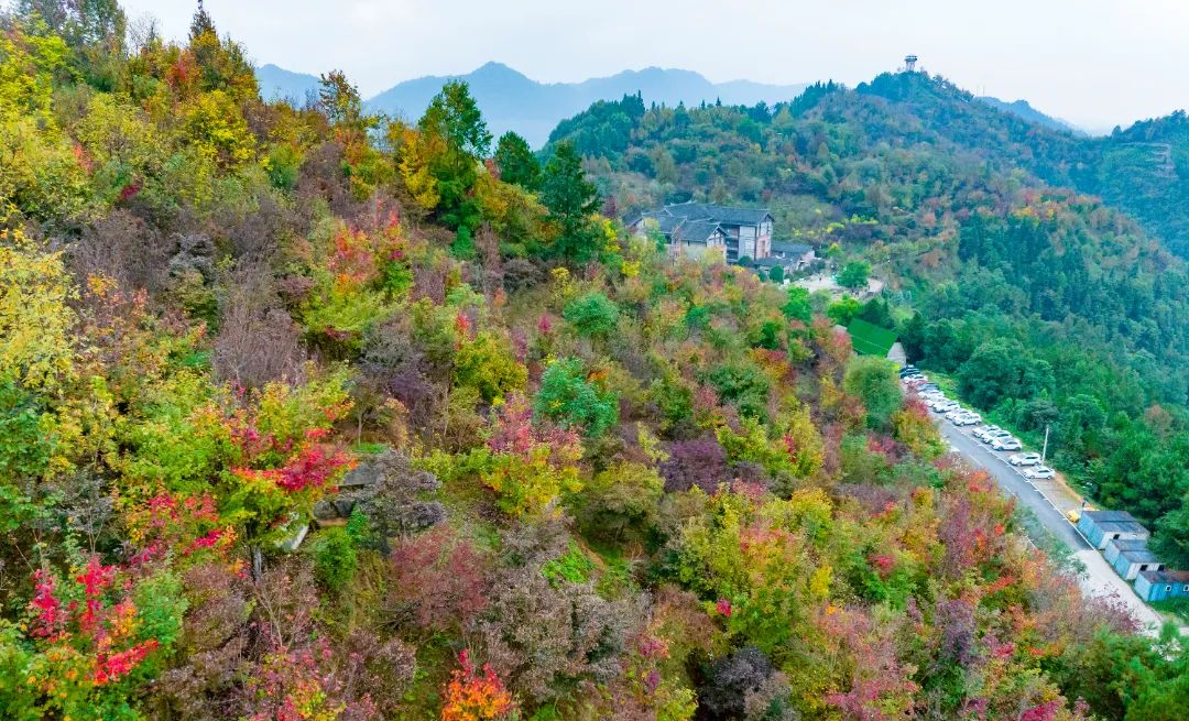 丰盛镇彩色森林,一个藏在巴南区的小众景点,却有着大自然的鬼斧嗓工