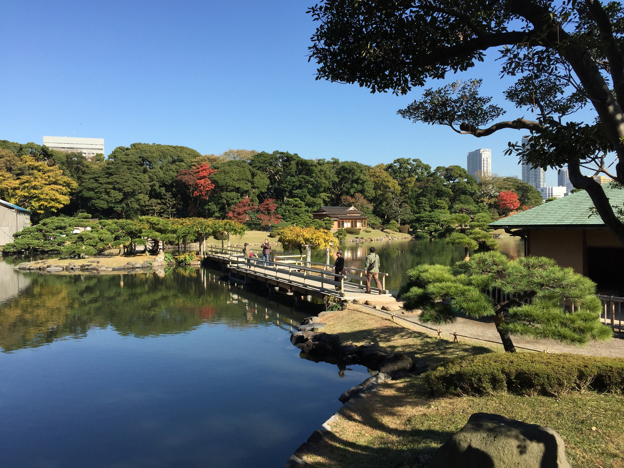 滨离宫恩赐庭园:静谧的庭院,处处都是美丽的景色