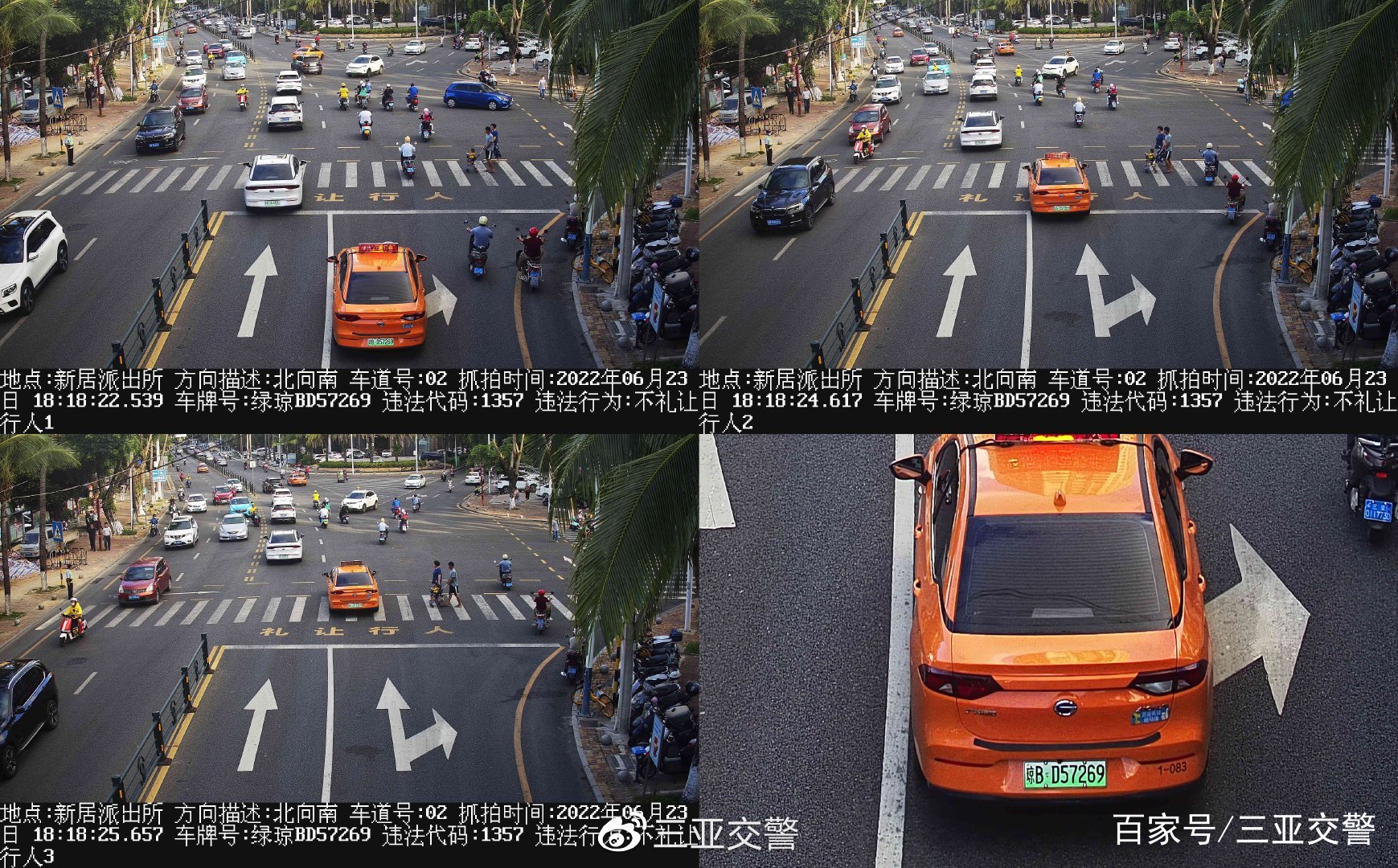 不文明交通行为曝光台｜机动车未礼让斑马线（七十四）(图14)