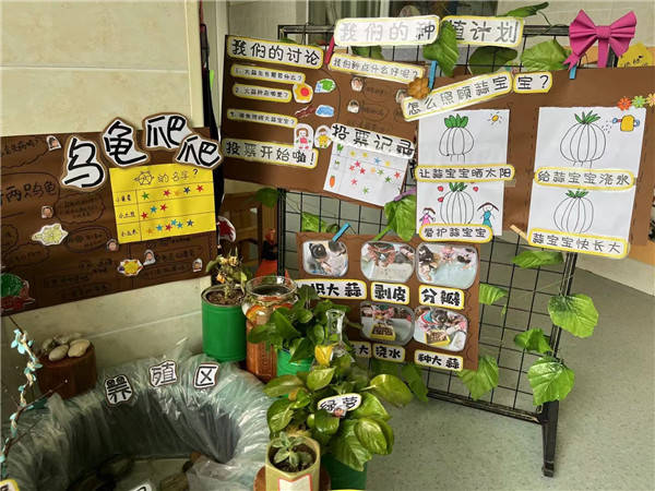 追逐自然,遇见美好——盱眙县沙岗幼儿园开展自然角评比活动