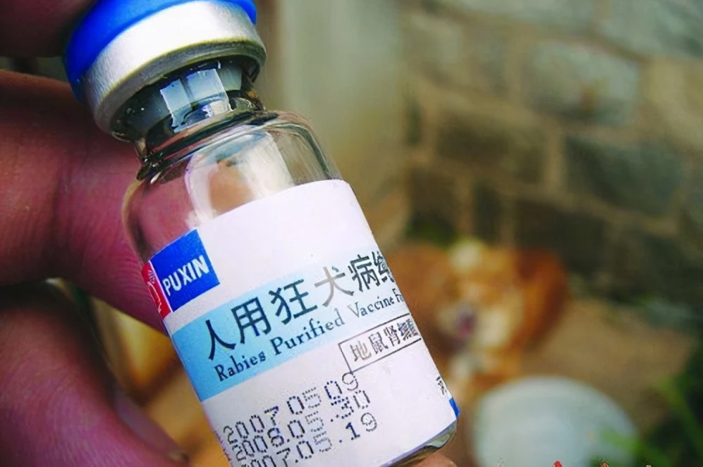 6岁男童被恶狗咬伤,打了3针狂犬疫苗,13天后还是不幸离世