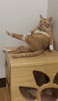 200_344gif 动态图 动图