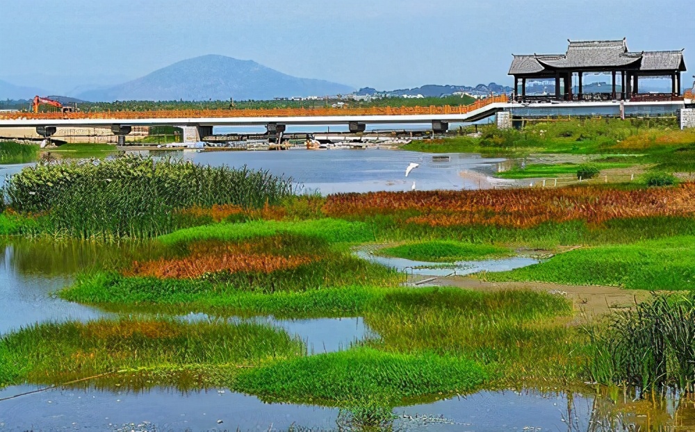 台州金洋湿地公园图片