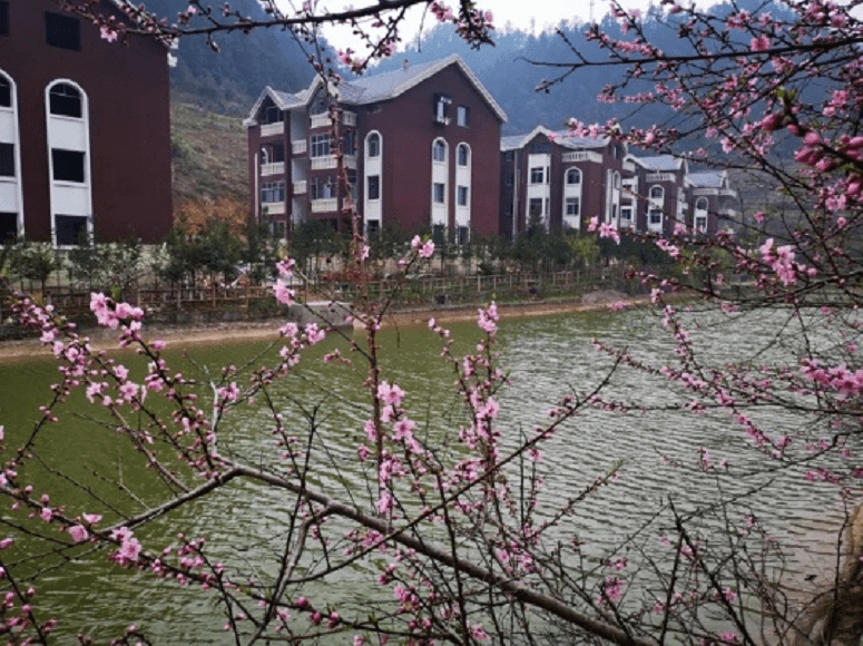 丰都·方斗山映月湖避暑房怎么样?海拔1200米森林覆盖率约90%以上