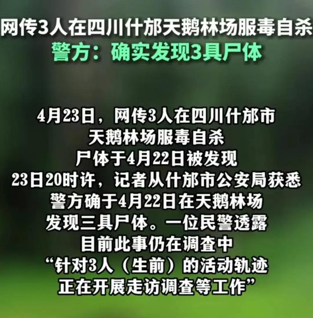 心碎!生又何欢,死又何惧,四川什邡林场三名年轻人身份曝光