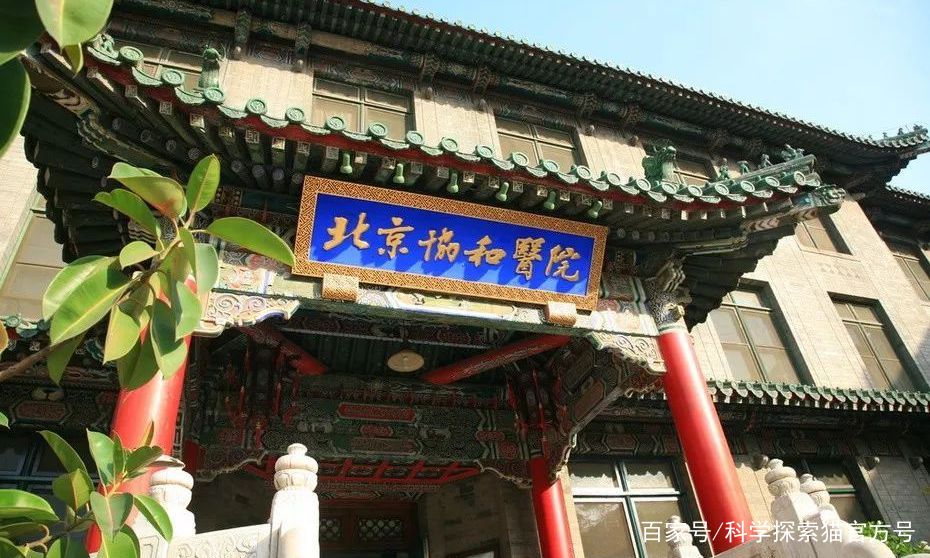 包含首都兒科研究所一手黃牛掛號價格合理的詞條