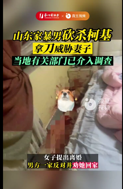 最狠的家暴男,醉酒砍杀柯基威胁妻子,现场二十分钟无法描述……